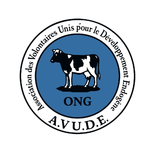 ONG AVUDE